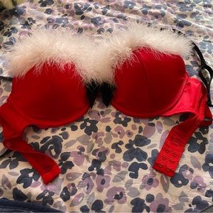 Santa Bra -  36C